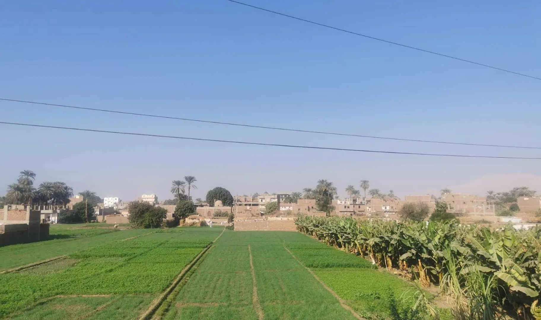 Dream Garden Luxor Hotel 0*,  Egypt